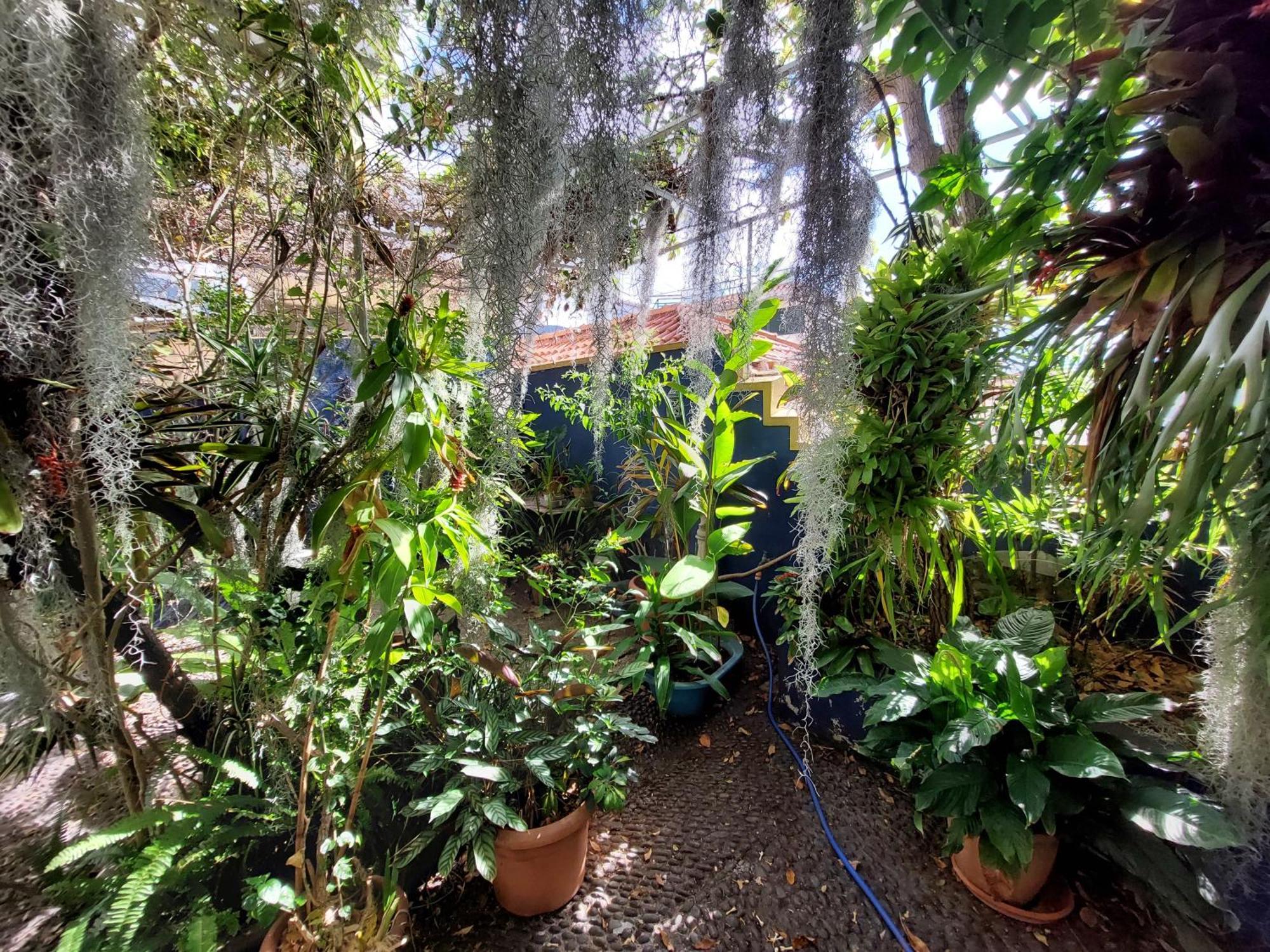 Casa Pico Musica Apartman Funchal  Kültér fotó