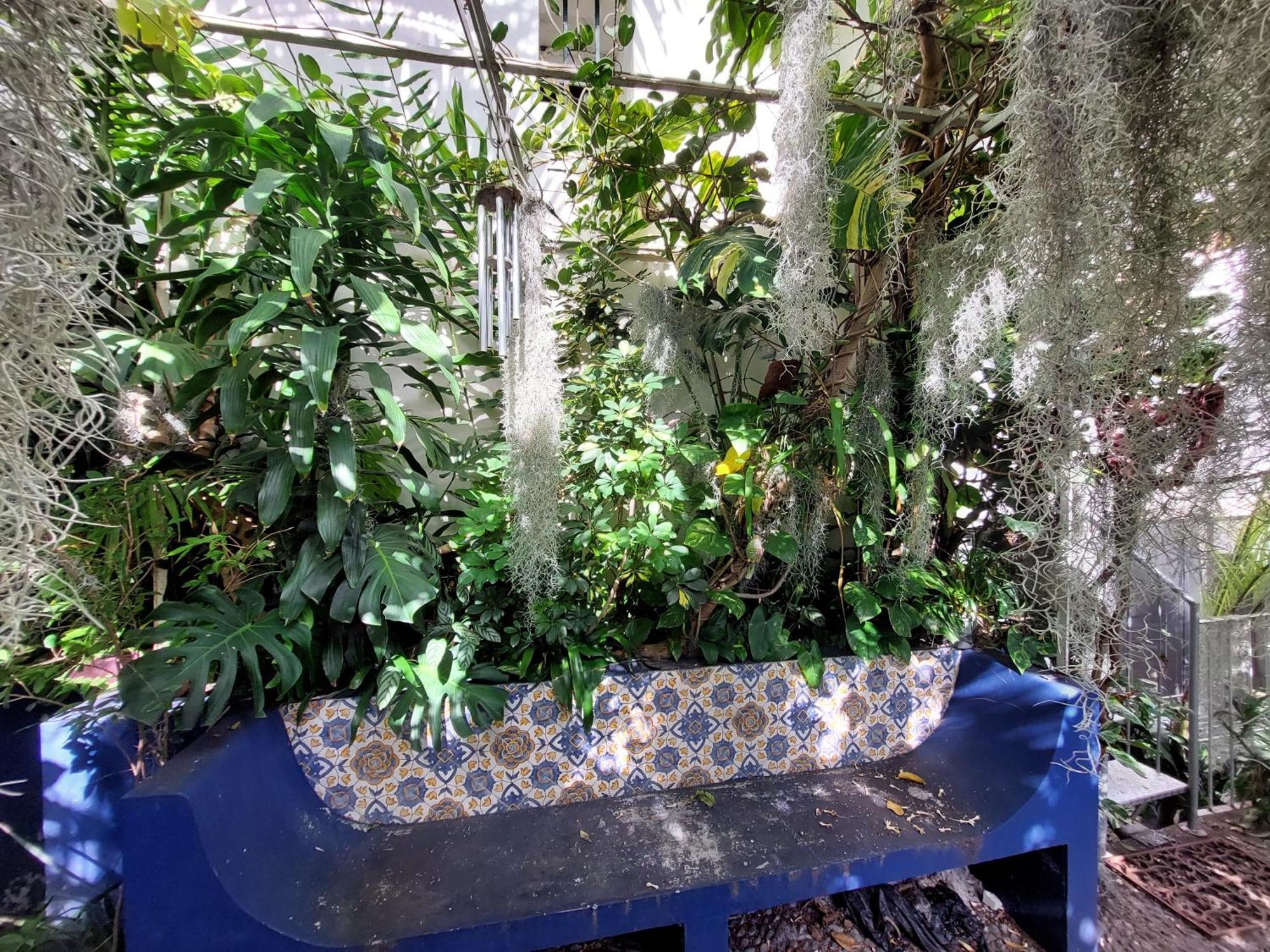 Casa Pico Musica Apartman Funchal  Kültér fotó